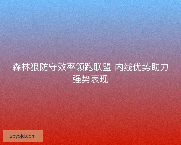森林狼防守效率领跑联盟 内线优势助力强势表现