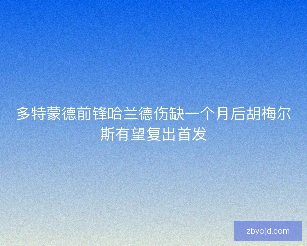 多特蒙德前锋哈兰德伤缺一个月后胡梅尔斯有望复出首发